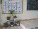 IMG_5509.JPG - 